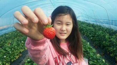 용봉산 딸기체험 농장, 용봉산캠핑장