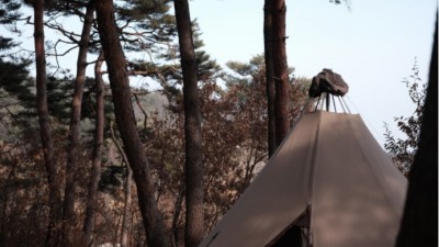 [홍성] 용봉산캠핑장 + 대형사이트 숲속캠핑장