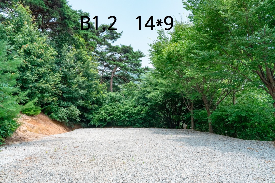 3dd2b120deac81a53eb8de5fadd37417_1745152524_7321.jpg