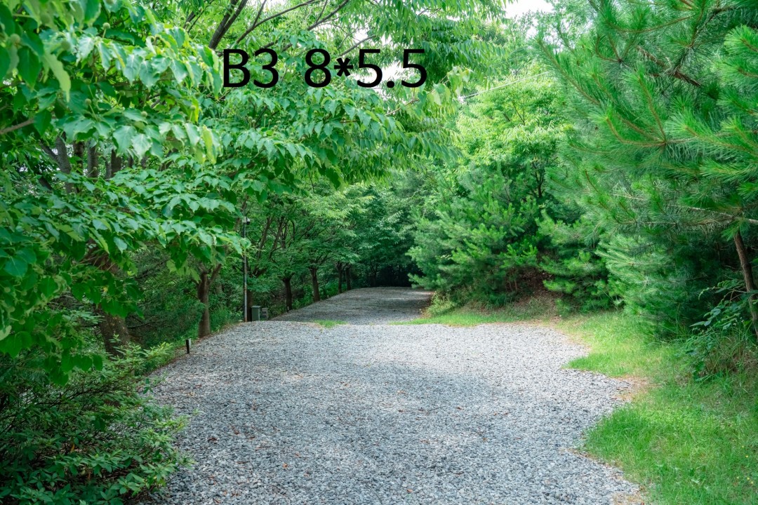 3dd2b120deac81a53eb8de5fadd37417_1745152534_0328.jpg