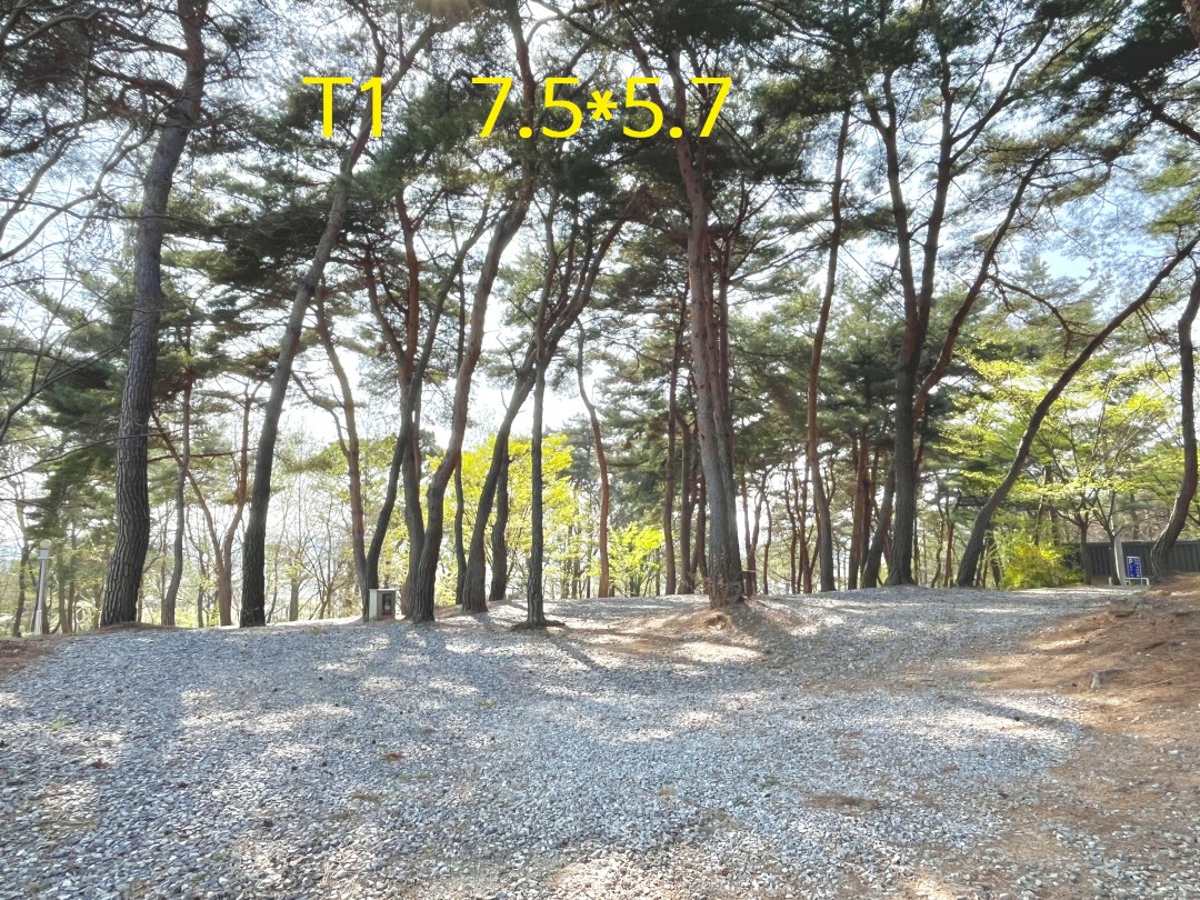 3dd2b120deac81a53eb8de5fadd37417_1745153840_5368.jpg