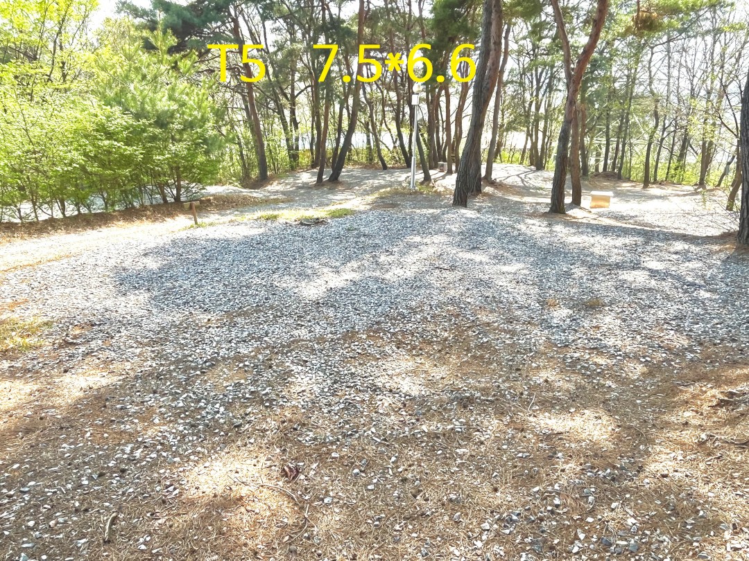 3dd2b120deac81a53eb8de5fadd37417_1745153848_3738.jpg