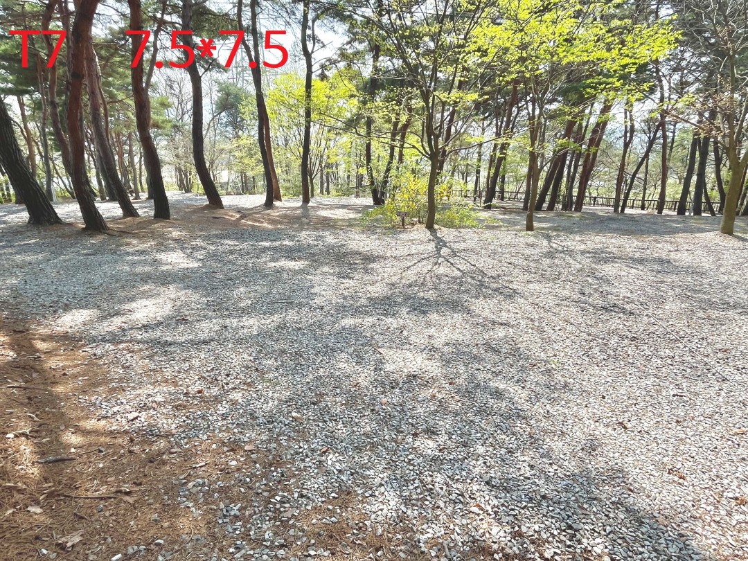 3dd2b120deac81a53eb8de5fadd37417_1745153852_9108.jpg